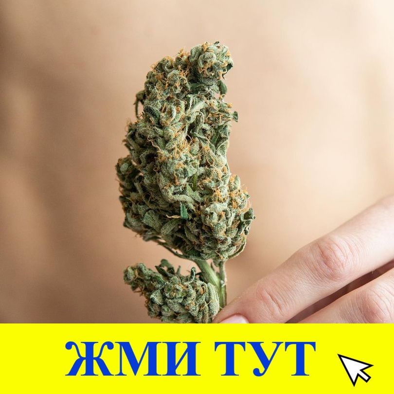 Купить наркотики в Тайшете